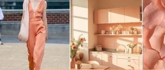 森尼2024流行色|暖色潮回歸，每一片蘊(yùn)含大美。