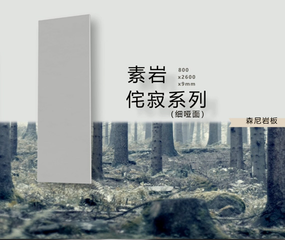 素巖侘寂系列（細(xì)啞面）