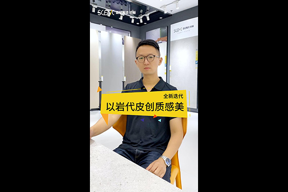 N+藝術(shù)巖板-皮紋